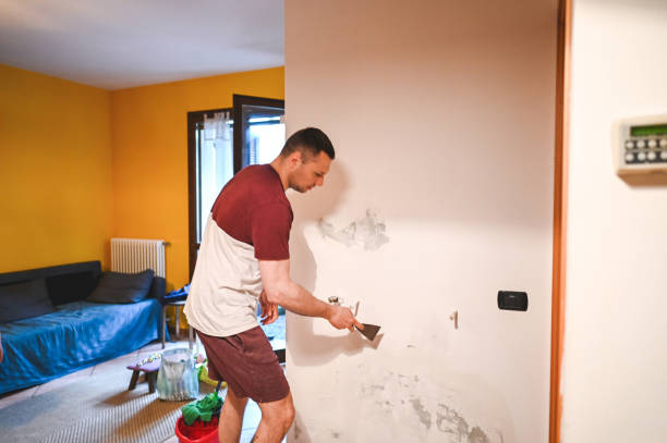 Best Mold Testing  in Mount Jackson, VA